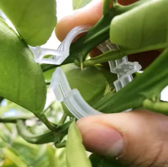 Clips de Soporte para Plantas (100unidades)