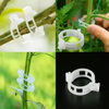 Clips de Soporte para Plantas (100unidades)