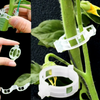 Clips de Soporte para Plantas (100unidades)
