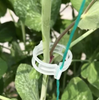 Clips de Soporte para Plantas (100unidades)
