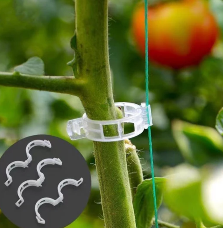 Clips de Soporte para Plantas (100unidades)