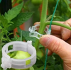 Clips de Soporte para Plantas (100unidades)