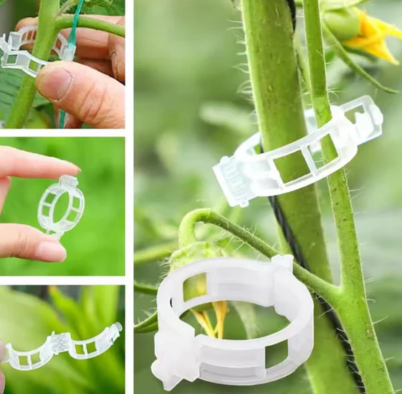 Clips de Soporte para Plantas (100unidades)