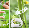 Clips de Soporte para Plantas (100unidades)