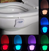 Trono Luminoso