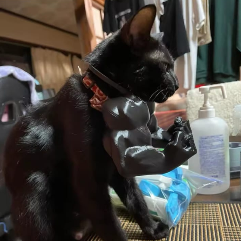 Máscara de “Bartman” + Brazos Musculosos para Gato