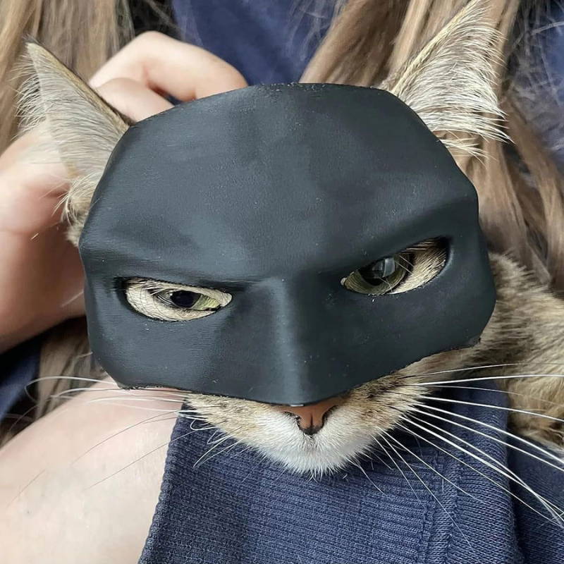 Máscara de “Bartman” + Brazos Musculosos para Gato