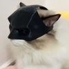 Máscara de “Bartman” + Brazos Musculosos para Gato