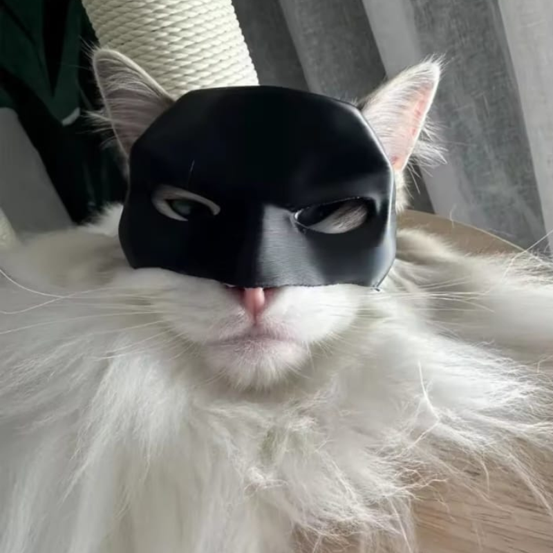 Máscara de “Bartman” + Brazos Musculosos para Gato