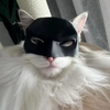 Máscara de “Bartman” + Brazos Musculosos para Gato