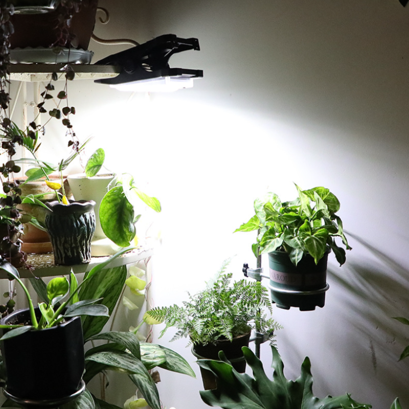 Luz Solar con Clip